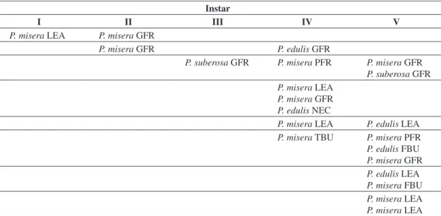 Table 3. Focal observations on the feeding activity of H. clavigera immatures in the mixed treatment