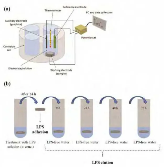 Figure 1. Electrochemical and LPS affinity tests. (a) Schematic  electrochemical  set-up (a standard 3-electrode cell)