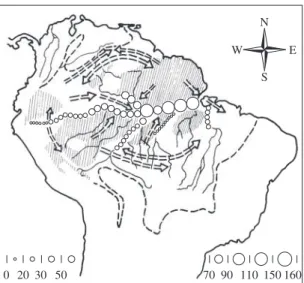 Figure  3. Barrier effect of broad river valleys for birds in  Amazonia (open circles) and main avian dispersion routes  (Open  circles  illustrate)  in  interfluvial  regions  and  in  the  headwater areas of major rivers, where the latter cease to act  a