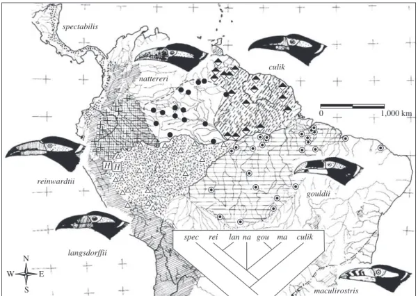 Figure 7. Distribution of the Lowland Toucanets Selenidera (updated from Haffer, 1974)