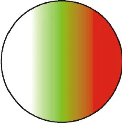 Fig. 6 - Unidade 