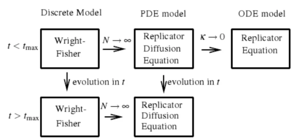 Fig. 1 The boxes in the figure represents the solutions of three different models: the Wright-Fisher process (finite population N), the replicator-diffusion equation (positive diffusion κ) and the replicator equation.