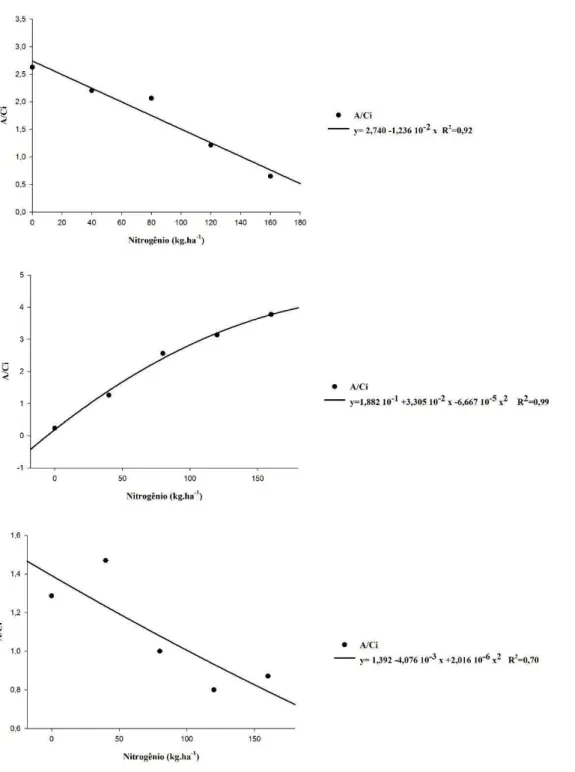 Figura 8. Efeito de concentrações de Nitrogênio (0, 40, 80, 120, 160 kg ha -1 ) na Eficiência  Carboxilativa  (A/Ci)  aos  16,  46  e  81  DAE  em  plantas  de  sorgo  sacarino  inoculado  com  Azospirillum brasilense (*p ≤ 0,05)