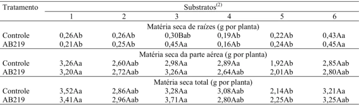 Tabela 3. Acúmulo de matéria seca das mudas micropropagadas de abacaxizeiros Cayenne Champac submetidas à inoculação do isolado de bactéria diazotrófica AB219 e crescidas em diferentes substratos em tubete (1) .