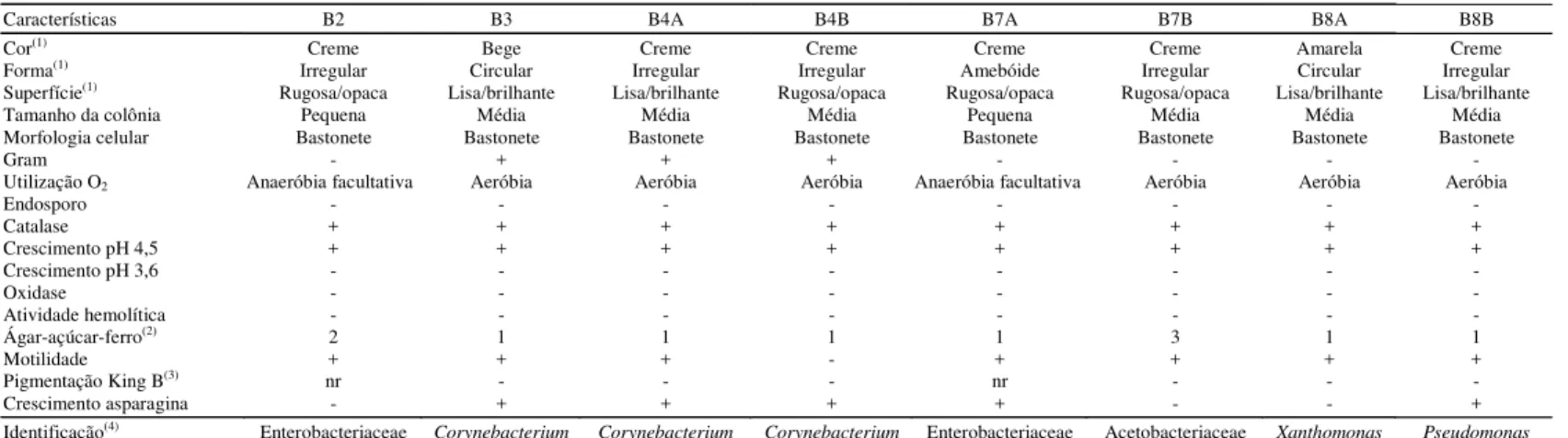 Tabela 1. Caracterização dos isolados bacterianos endofíticos obtidos de explantes micropropagados de batata das cultivares Baronesa, Eliza e Astrid.