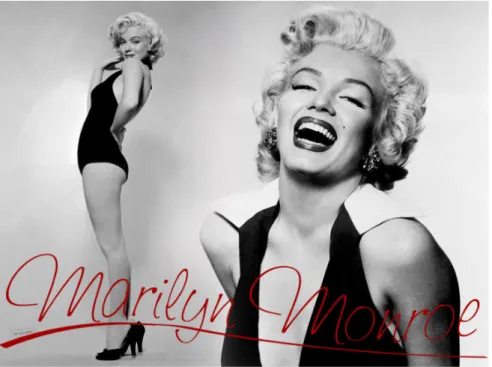 Figura 13: Marilyn Monroe. Fonte:&lt; http://www.bancodesaude.com.br&gt;. Acesso em 03 set