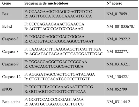 Tabela 1 - Genes e sequência de nucleotídeos dos primers iniciadores para RT-PCR em tempo  real 