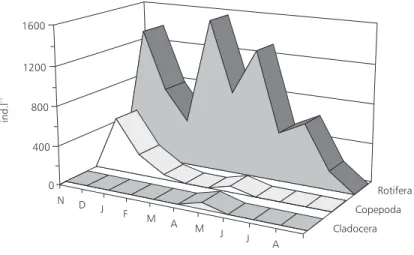 Fig. 3 — Invertebrate densities in the water nearby macrophytes, from November 1998 to August 1999.