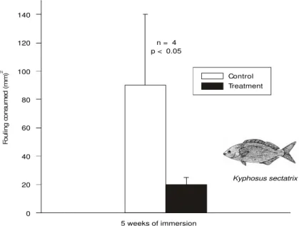 Fig. 5 — Lipid content (%) in dry body (X ± SEM) of Dichelops melacanthus 20-days-old adults, maintained under different photoperiods, feeding on green pods and dry soybean seeds in the laboratory