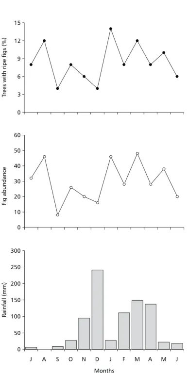 Fig. 1 — From top to bottom: monthly proportion of trees bearing ripe figs, fig abundance, and monthly rainfall (N = 50 trees, from July 1999 to June 2000).