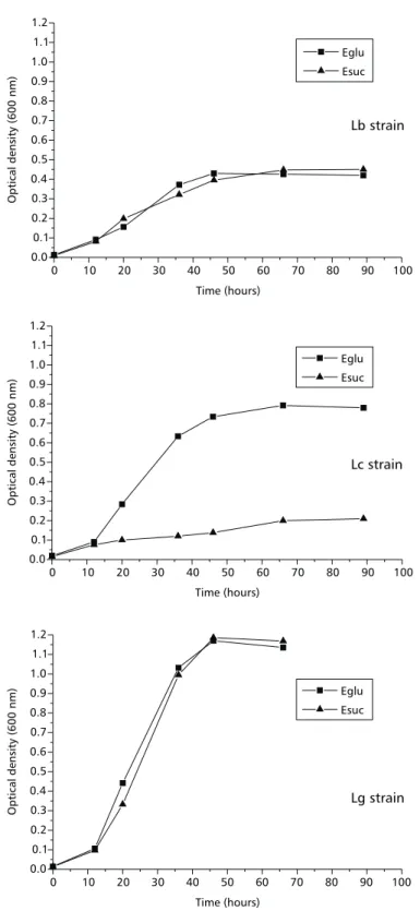 Fig. 1 — Growth of Lb, Lc and Lg strains with E medium supplemented with glucose (Eglu) and sucrose (Esuc)