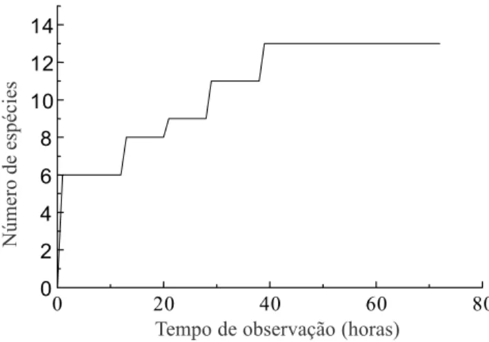 Figura 1. Curva do número cumulativo de espécies de aves observadas visitando Ocotea pulchella em relação ao tempo de  observação.