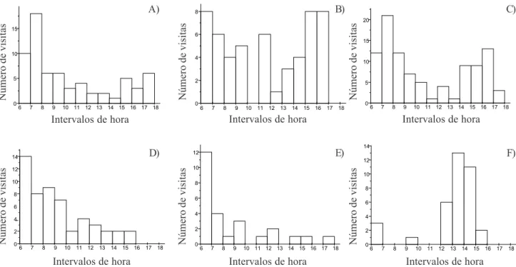 Figura 3. Freqüência de visitas a  Ocotea pulchella pelas diferentes espécies de aves em diferentes intervalos de hora do dia.