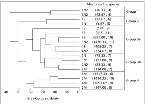 Fig ig ig ig ig. 6 — . 6 — . 6 — . 6 — . 6 — Dendogram of Bray-Curtis similarity. The letters denote the sampling month (S: September, N: November, and M:
