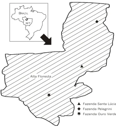 Fig. 1 — Map showing the location of Alta Floresta in Brazil and Mato Grosso State (MT) and the location of the three study sites within Alta Floresta.