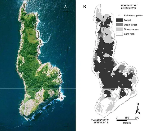 Figura 2. (A) Fotografia aérea da Ilha da Queimada Grande. (B) Classificação da cobertura  vegetal, baseado na fotografia aérea