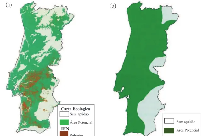 Figura 3 – Distribuição do sobreiro em Portugal no presente e futuro.  (a) : Distribuição do sobreiro na sua área  potencial e área atual (a cinzento estão as áreas sem aptidão, a verde as áreas potenciais para ocupação do sobreiro  e a castanho estão as a