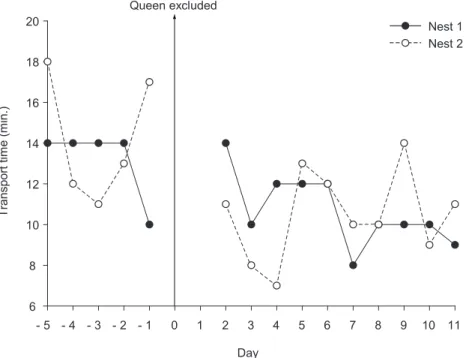 Fig.  2  — Time spent to transport the 10 th  leaf-fragment during observation days. There was a decrease in transport time   (W = 168.5, p < 0.05)
