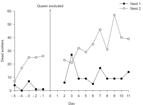 Fig. 4 — Number of dead ants throughout the observational period. There was increased ant mortality when the queen was  excluded (nested ANOVA F 1.54  = 5.8; p = 0.023)