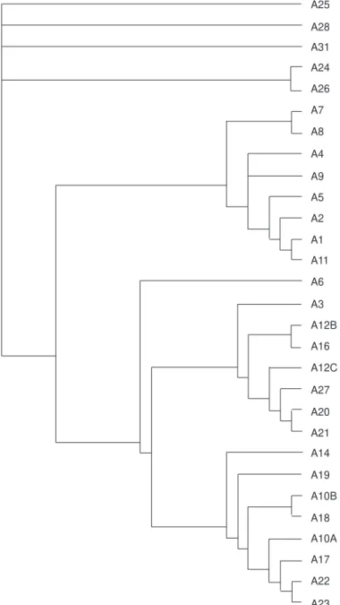 Fig. 7 — Area cladogram obtained by applying PAE (with 320 steps, consistency index 0.72 and retention index 0.84).
