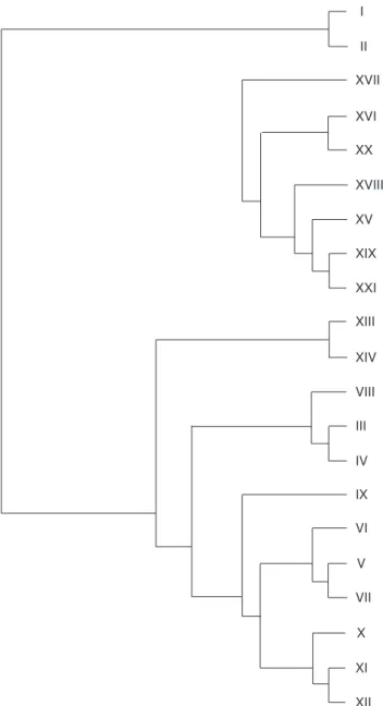 Fig. 8 — Area cladogram obtained by applying PAE (with 386 steps, consistency index 0.79 and retention index 0.89).