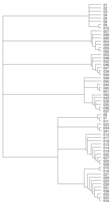 Fig. 4 — Cladogram obtained using quadrats (669 steps, consistency index 0.64 and retention index 0.77).