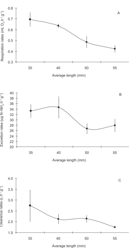 Fig. 2 — a) Specific respiration rates (mL O 2 .h -1 .g -1 ); b) excretion rates (µg N–NH 4 .h -1 .g -1 ); and c) clearance rates (L.h -1 .g -1 ) for  different length classes (mm) of the mussel Perna perna