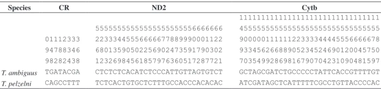 Table 2. Fixed differences in the control region, ND2, and Cytochrome b between Thamnophilus ambiguus and T