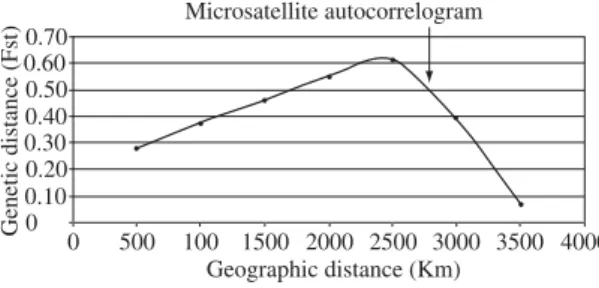 Figure 2. Spatial autocorrelogram of  microsatellite and  geographic distances. The intercept, a distance at which the autocorrelation no longer is significant, is indicated by an  arrow.
