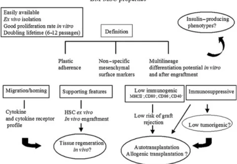 Fig. 1. The bone marrow-derived mesenchymal stem cell (BM-MSC) properties: most important features of BM-MSC, which renders these cells very attractive for cell-based therapies and in particular for β -cell replacement in type 1 diabetes..