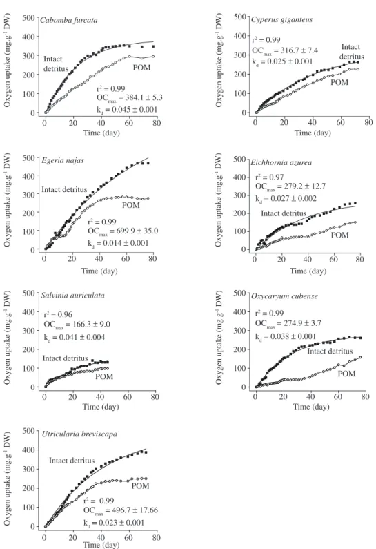 Figure  1.  Oxygen  consumption  kinetics  from  mineralization  of  intact  detritus  (POM  +  DOM)  and  POM  (≈  fibers)  from  aquatic macrophytes.