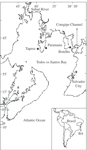 Figure 1. Location of the three collection sites studied (Ta- (Ta-pera, Paramana and Botelho) at Todos os Santos Bay, state  of Bahia (BA), Brazil