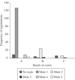 Table  1.  Total  number  of  observations,  every  30  minutes  focal  sampling,  of  the  bands  of  coatis A,  B  and  C,  in  the  Parque Estadual do Prosa, Campo Grande, Mato Grosso do  Sul, in the rainy and dry season.