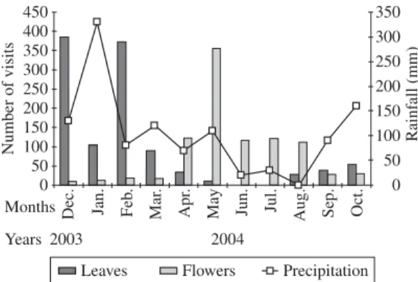 Figure 2. Monthly variation in the number of E. macroura visits to flowers and leaves (left axis) and rainfall data from  the Meteorological Station of the University of Taubaté  (right axis) from December 2003 to October 2004.