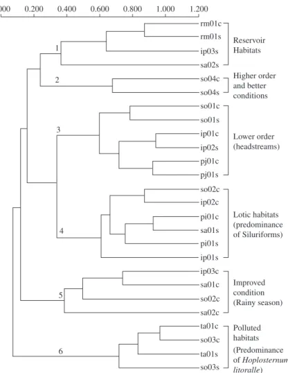Figure 6. Dendrogram of sampling sites in the dry (S) and in the rainy season (C), grouped according to fish species numeri- numeri-cal abundance (r coph = 0.82).