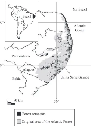 Figure  1). The  Serra  Grande  landscape  is  located  on  a  low-altitude  plateau  (300-400  m  above  sea  level)   con-taining two similar classes of dystrophic soils with high  clay fractions: yellow-red latosols and yellow-red  pod-zols,  according 