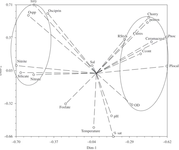 Figure  6.  PCA  showing  the  contribution  of  taxa  and  environmental  parameters  in  the  state  of  Pernambuco  (Tery  =  Trichodesmium  erythraeum;  Osciprin  =  Oscillatoria  princeps;  Ospp  =  Oscilatoria  spp;  Chorry  =  Ceratocorys  horrida; 