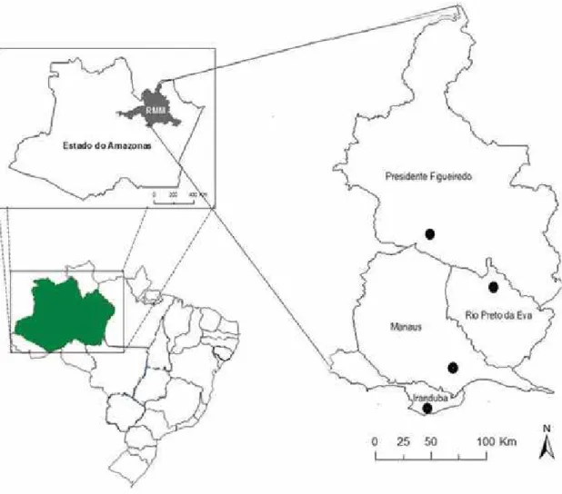 Figura 1. Localização dos pontos onde as amostras foram coletadas no nordeste do  estado do Amazonas, em quatro períodos entre agosto de 2012 e junho de 2013 