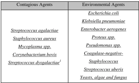 Table nº 5 – Contagious and environmental etiological agents   (adapted from Blowey et al, 2000).