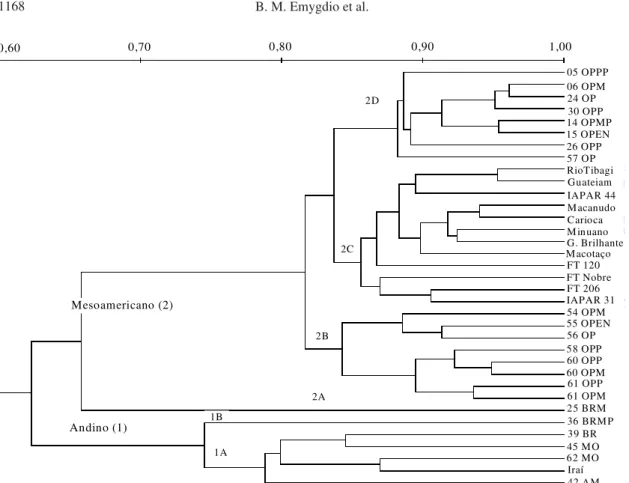 Figura 1. Dendrograma de 35 cultivares de feijão indicando  as relações genéticas e a porcentagem de similaridade obtida a partir do coeficiente de Sorensen-Dice.