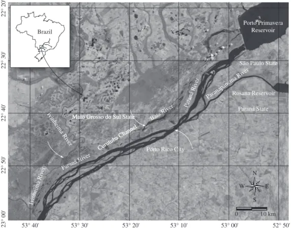 Figure 1. Location and map of the upper Paraná River floodplain (Satellite image LANDSAT 7 – ETM 1999) showing the  sampling stations (arrows).