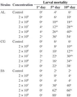Table  1.  Accumulated  mortality  (%)  of  second-instar  caterpillars  (n  =  50)  of  Bonagota  salubricola  inassays  with  different  strainsand  concentrations  of  Metarhizium  anisopliae.