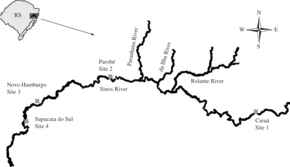 Figure 1.  Location of the sampling sites (1, 2, 3, and 4) in the study area of the Sinos River basin, southern Brazil ( Comitesinos,  2010).