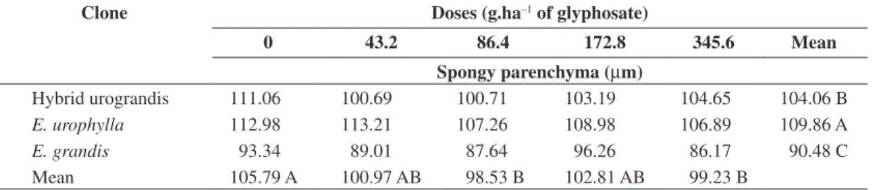 Table 3. Mean thickness values of the leaf blade and palisade parenchyma (µm) of eucalypt plants submitted to glyphosate  doses of 0; 43.2; 86.4; 172.8 and 345.6 g.ha –1  at 15 DAA.
