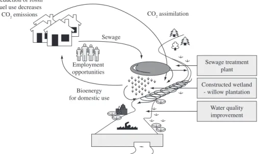 Figure 5. System solutions based on three principles - improvement of ecological flow, water quality, human health and  quality of life (modified from Zalewski and Robarts, 2003).