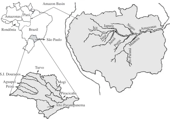 Figure 1. Study area showing a map of Brazil and the Amazon basin with the three main states involved in this study –   Amazonas, Pará and Rondônia; and the State of São Paulo with the seven major watersheds included in this study.