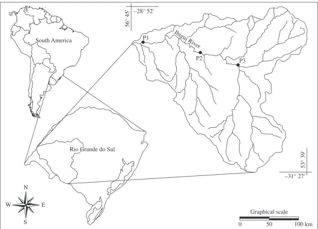 Figure 1. Location of the collection points on the Ibicuí River and its location in the State of Rio Grande do Sul and in South  America.