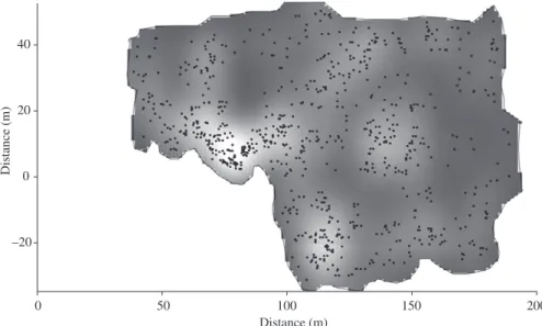 Figure 2. Spatial distribution of individuals of Xylopia brasiliensis growing under the canopy of an experimental plantation  of eucalyptus, municipality of Lavras, SE Brazil
