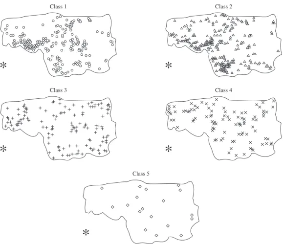 Figure 4. Spatial distribution of individuals of Xylopia  brasiliensis in different diameter class (Class 1: 1-2 cm; Class 2: 