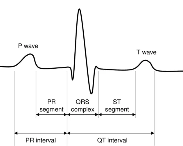Figure 2.2: Single Heartbeat (Malasri and Wang, 2009).